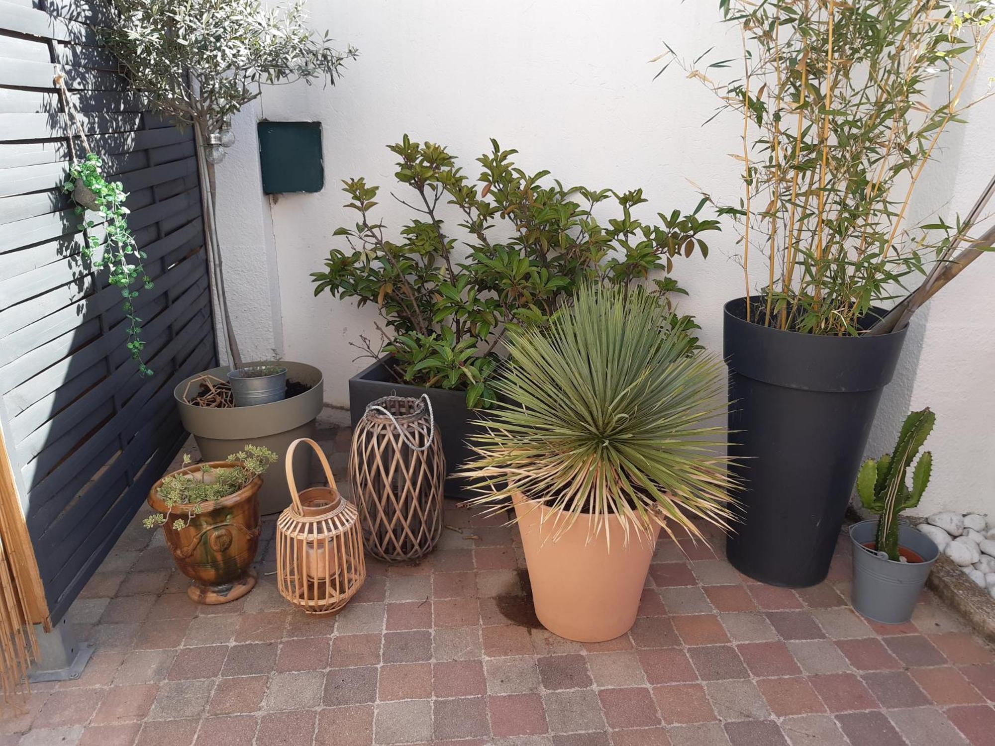 Grand Studio Avec Patio مارسيليا المظهر الخارجي الصورة